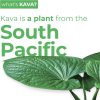 Leilo Kava Drink Sugar Free Relaxation Beverage-2