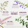 WishGarden Deep Stress Herbal Supplement Liquid Tincture-3