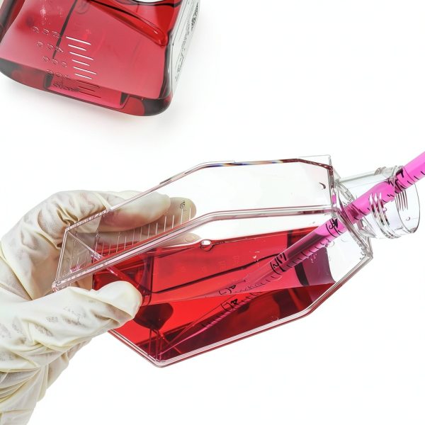Cell Culture Flask - Plastic Tissue Culture Bottle with Vent Cap, TC Treated, Sterile, 75cm² Culture Area, 100Pcs/Case-5