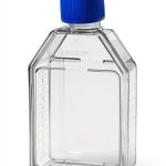 Flask 70mL Cell Culture Corning Bacteriological Polystyrene Vented Cap-0