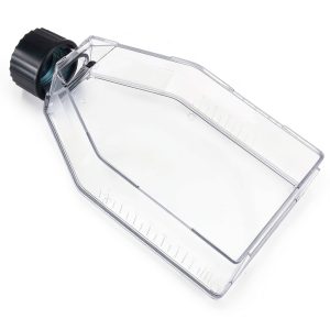 Cell Culture Flask - Plastic Tissue Culture Bottle with Vent Cap, TC Treated, Sterile, 75cm² Culture Area, 100Pcs/Case-0