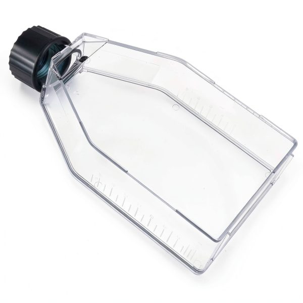 Cell Culture Flask - Plastic Tissue Culture Bottle with Vent Cap, TC Treated, Sterile, 75cm² Culture Area, 100Pcs/Case-0
