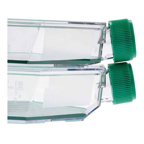 CELLTREAT 229381 182 cm Tissue Culture Flask with Vent Cap Pack of 40-1