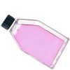 Cell Culture Flask - Plastic Tissue Culture Bottle with Vent Cap, TC Treated, Sterile, 75cm² Culture Area, 100Pcs/Case-4