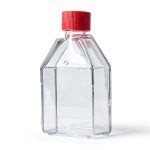 Polystyrene Cell Culture Flasks 4E's 60pcs Sterile 25cm² Vent Cap-0