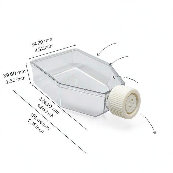 SPL Cell Culture Flask 75 cm2 T75 Filter Cap Non‑Treated Sterile-1