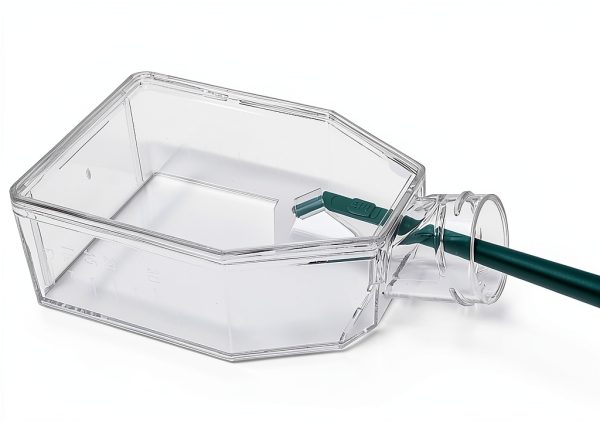 SPL Cell Culture Flask 25 cm² (T25) Filter Cap, Treated, Sterile, 200/Case-4