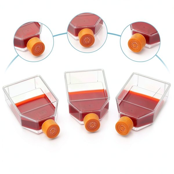 Cell Culture Flasks Kingdder 50 Pack 75cm² Filter Caps-5