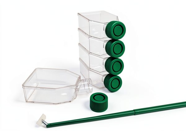 SPL Cell Culture Flask 25 cm² T25 Plug Cap Treated Sterile 200 Case-1