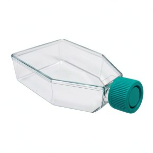 SPL Cell Culture Flask 75 cm2 T75 Plug Cap Sterile 100 per Case-0