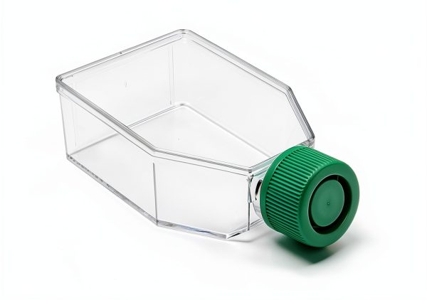 SPL Cell Culture Flask 25 cm² T25 Plug Cap Treated Sterile 200 Case-0
