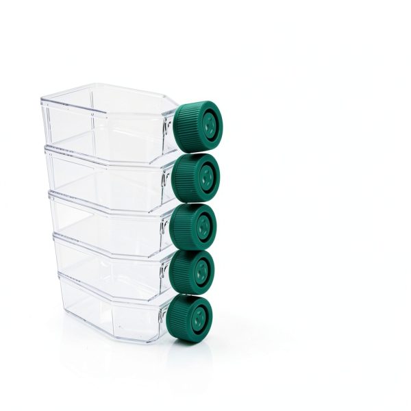 SPL Cell Culture Flask 25 cm² (T25) Filter Cap, Treated, Sterile, 200/Case-2