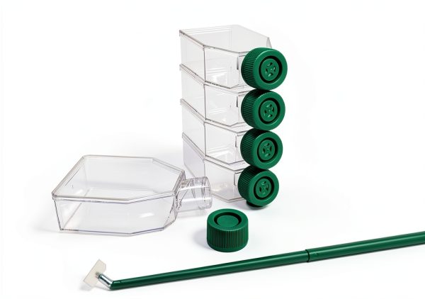 SPL Cell Culture Flask 25 cm² (T25) Filter Cap, Treated, Sterile, 200/Case-3