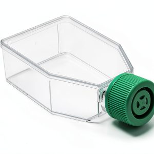 SPL Cell Culture Flask 25 cm² (T25) Filter Cap, Treated, Sterile, 200/Case-0