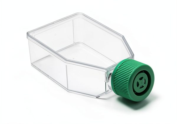 SPL Cell Culture Flask 25 cm² (T25) Filter Cap, Treated, Sterile, 200/Case-0